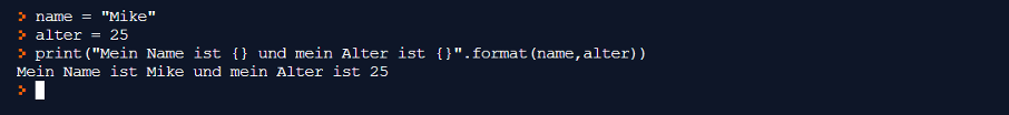 Nutzung von format um den Inhalt eines Python Strings zu modifzieren.