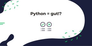 Python zu lernen eignet sich vor Allem für Anfänger im Bereich der Programmierung