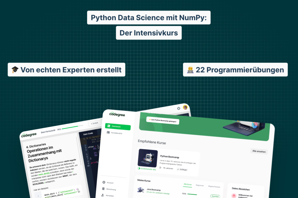 Python Data Science Kurs mit NumPy